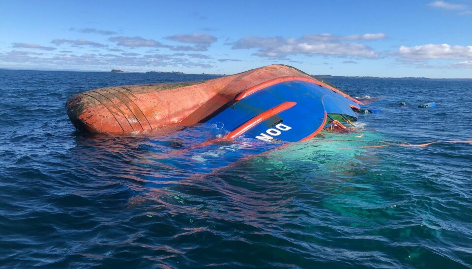 Alerta por hundimiento de nave con alimento medicado para salmones