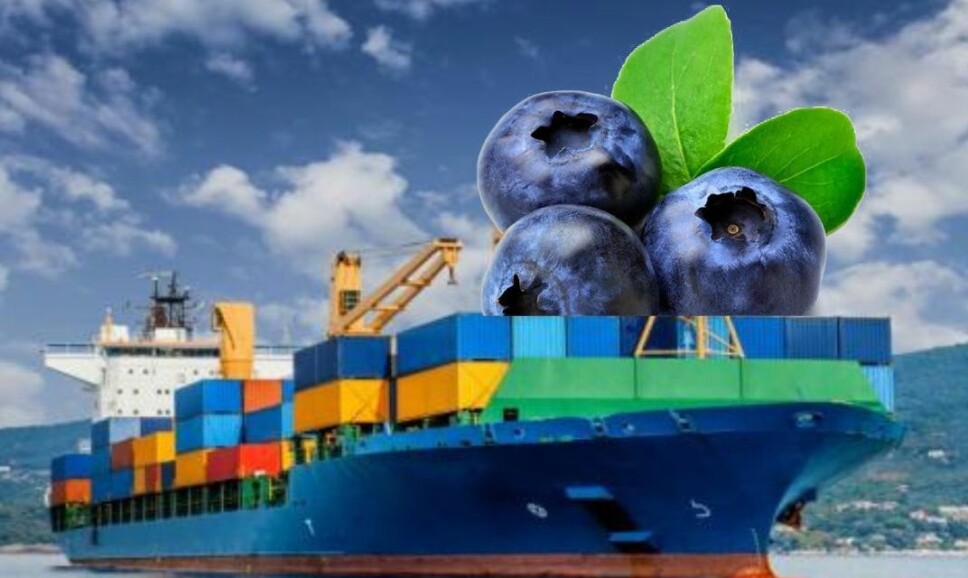 El servicio ya comienza a ser conocido como el 'Blueberry Express'.