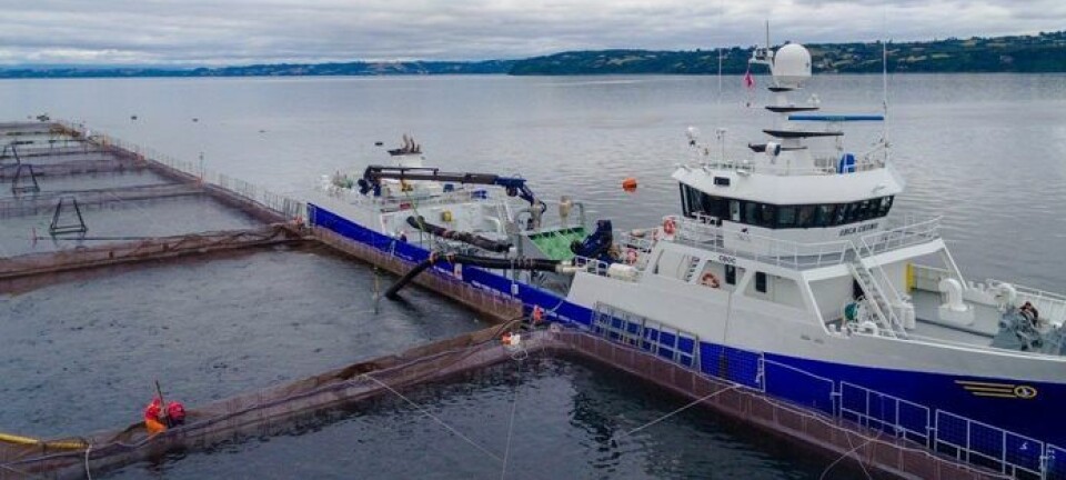 Grandes navieras piden a la Dirección del Trabajo anular polémica resolución