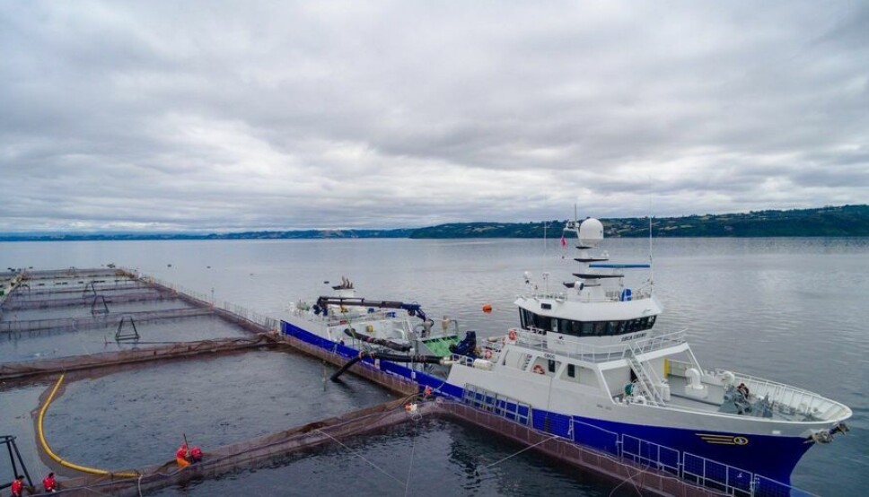 Un wellboat operando en un centro de la industria salmonicultora.