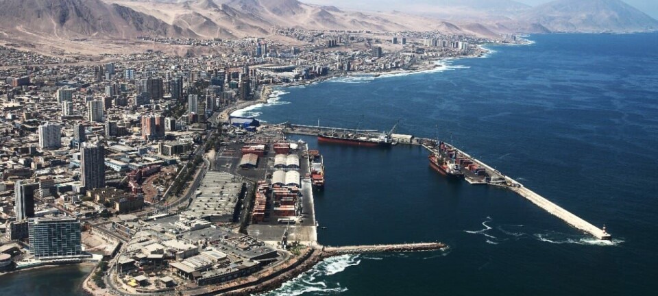 Trabajador murió en un accidente en Antofagasta Terminal Internacional