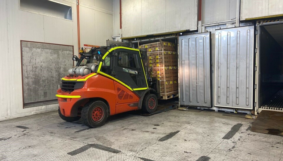 Fueron 20 pallets con fruta fresca de Argentina.