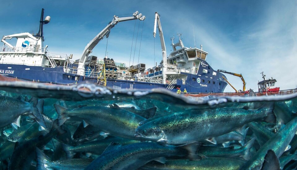 Imagen referncial. Wellboat Ronja Ocean.