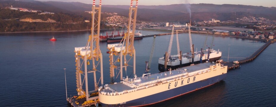 Descargaron más de 4 mil vehículos desde nave agenciada por Ian Taylor