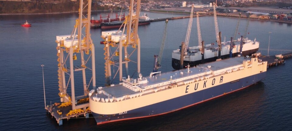 Descargaron más de 4 mil vehículos desde nave agenciada por Ian Taylor