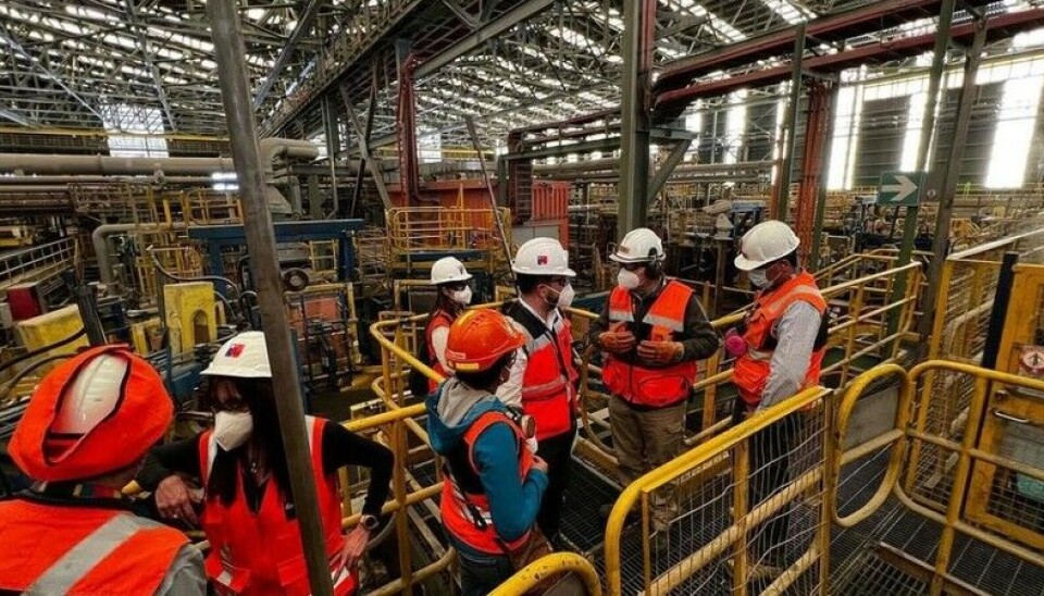 Funcionarios de la institución de gobierno en plena labor de fiscalización.