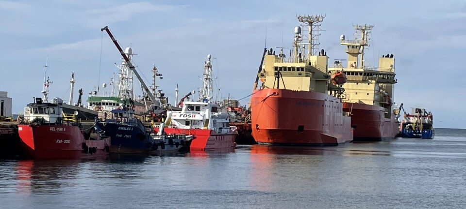 Crecen con fuerza las recaladas vinculadas a la salmonicultura en los puertos de Magallanes
