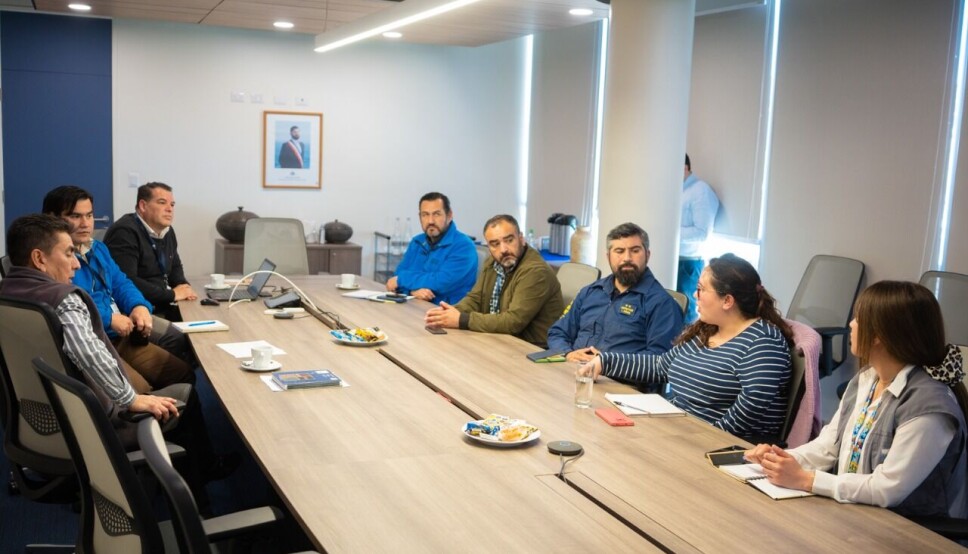 El COP se reunió para estudiar protocolos sobre la temporada de cruceros.