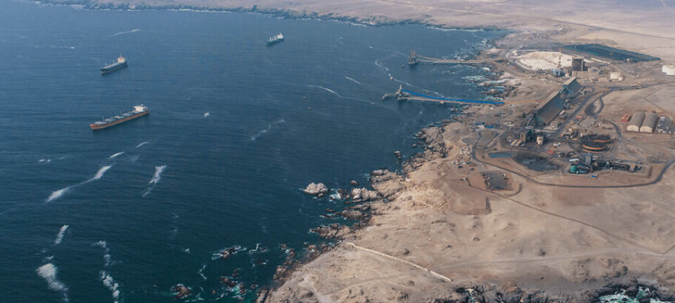 En agosto los puertos de Tarapacá movieron menos carga que hace doce meses