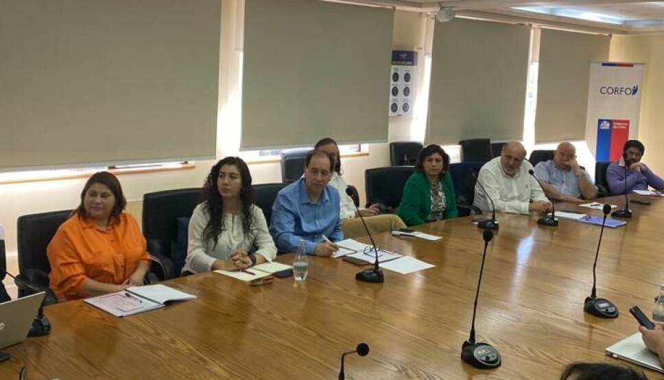 Representantes de los puertos australes en el encuentro con el Ministerio de Transportes y el Sistema de Empresas Públicas.