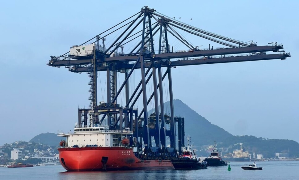 Las enormes estructuras vienen ya armadas a bordo de un barco que zarpó desde China.