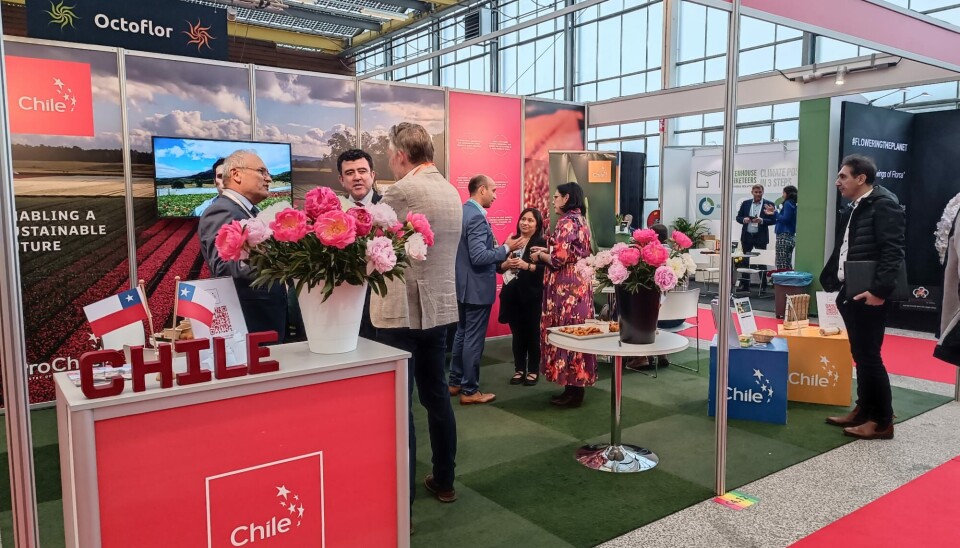 Punto informativo de Prochile en feria internacional de flores de Vijfhuizen, Países Bajos.