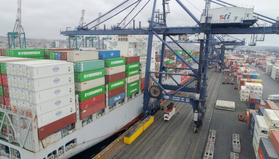 Cuatro compañías navieras operan con STI para la exportación de frutas esta temporada.