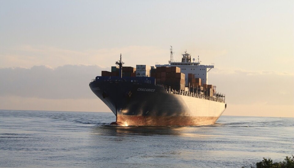 El alza de costos navieros ha golpeado a varios exportadores.