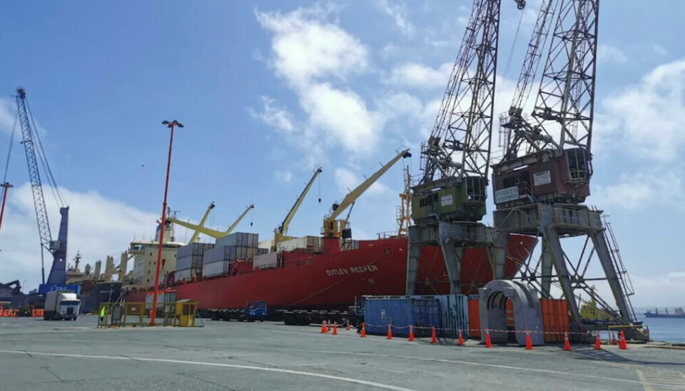 La fruta que salga desde Coquimbo tiene como destino principal el mercado de Estados Unidos.