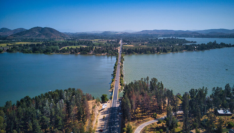 Un aspecto de la ruta que conecta la zona productora con el puerto de San Antonio y que es sometida a una profunda intervención.