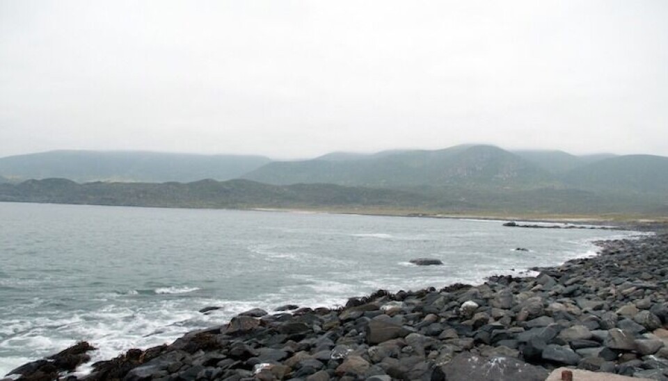 En la zona de Totoralillo se emplazarían las instalaciones portuarias del proyecto Dominga.