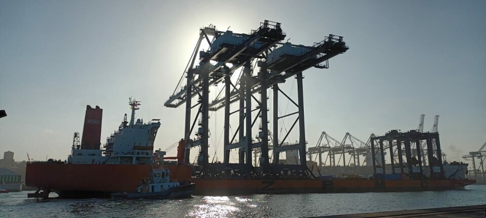 Nuevas grúas permitirán a STI atender a dos naves Super Post Panamax en forma simultánea