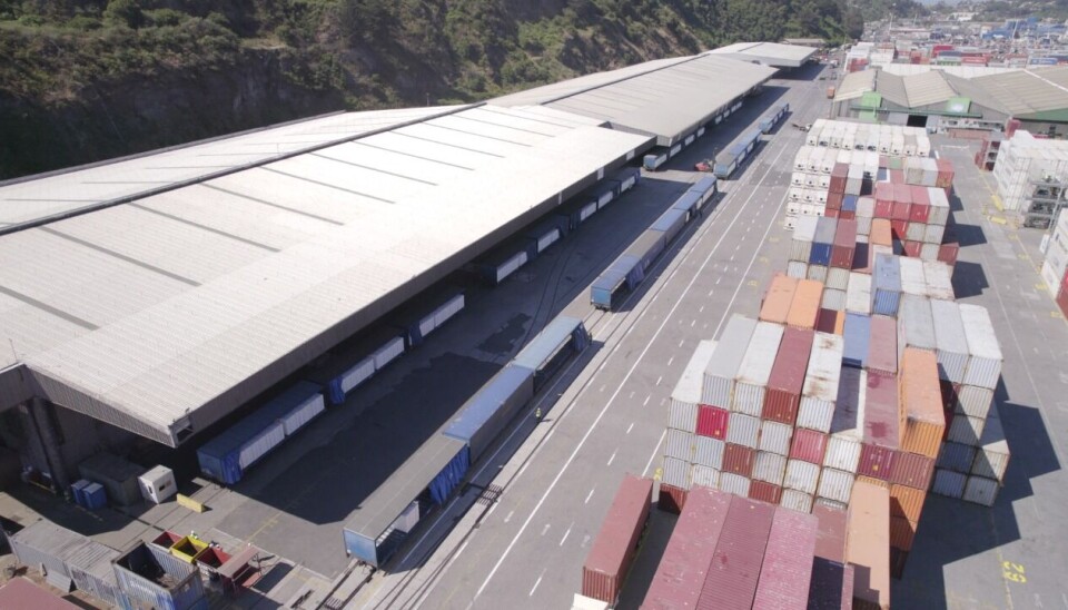 Dos largas filas de vagones llegaron al terminal portuario que habilitó sus instalaciones para una óptima atención de la carga.