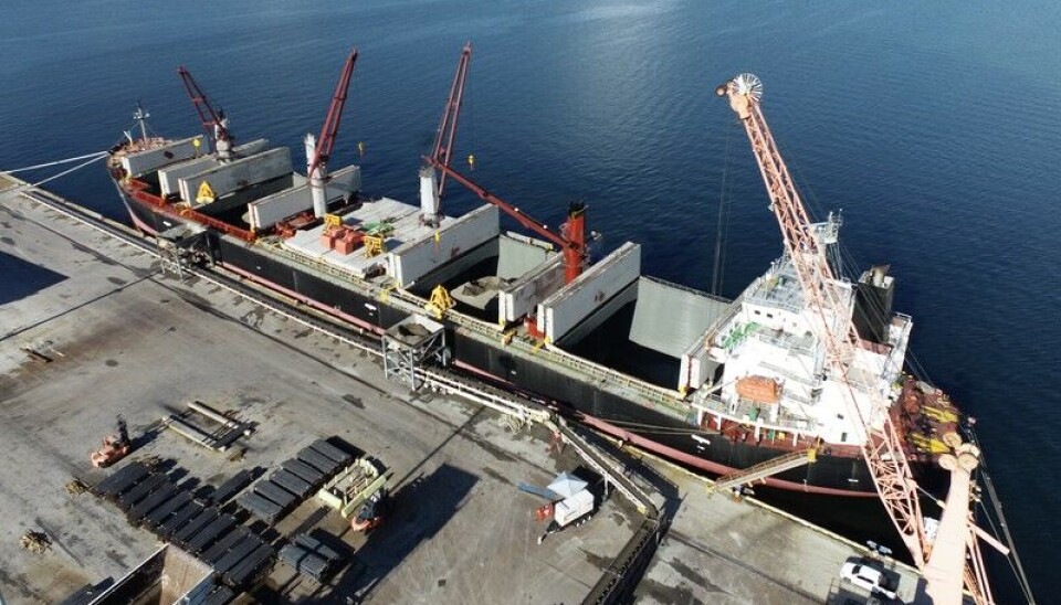 El terminal en la zona de Tampa se especializa en la transferencia de graneles.