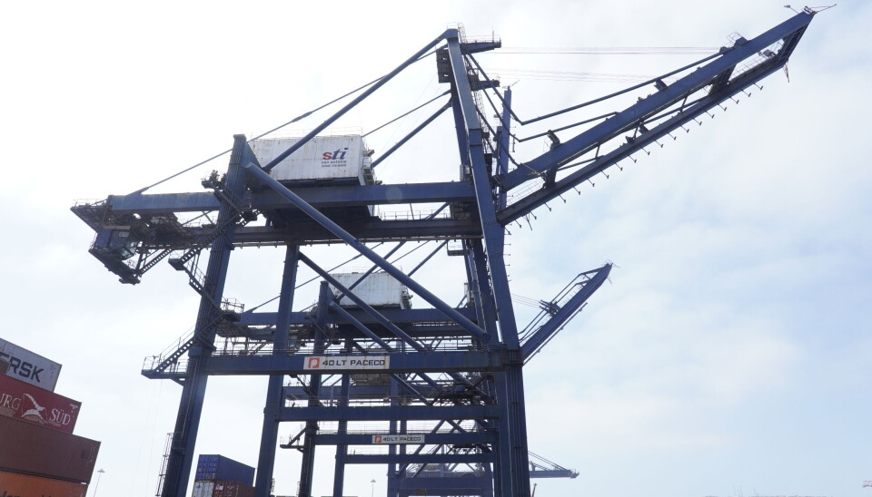 Las grúas Paceco cuando aún se mantenían en pie sobre la losa del terminal portuario.