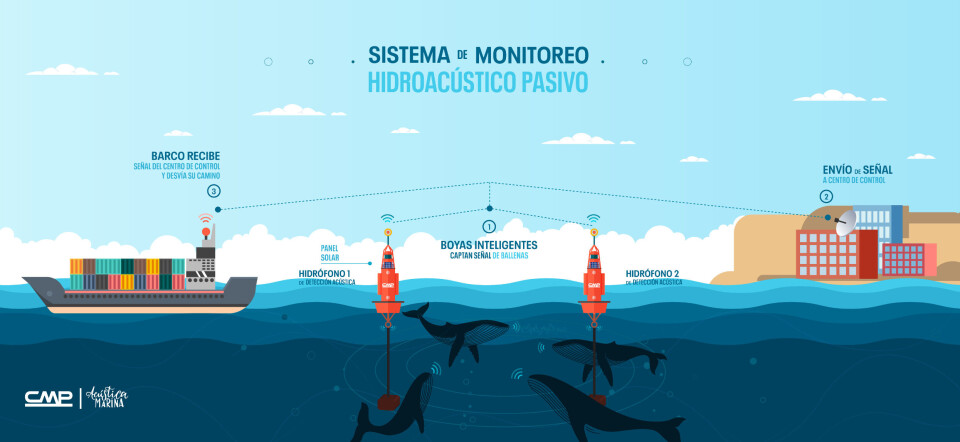 Puerto Cruz Grande y Acústica Marina instalaron las primeras boyas para protección de las ballenas