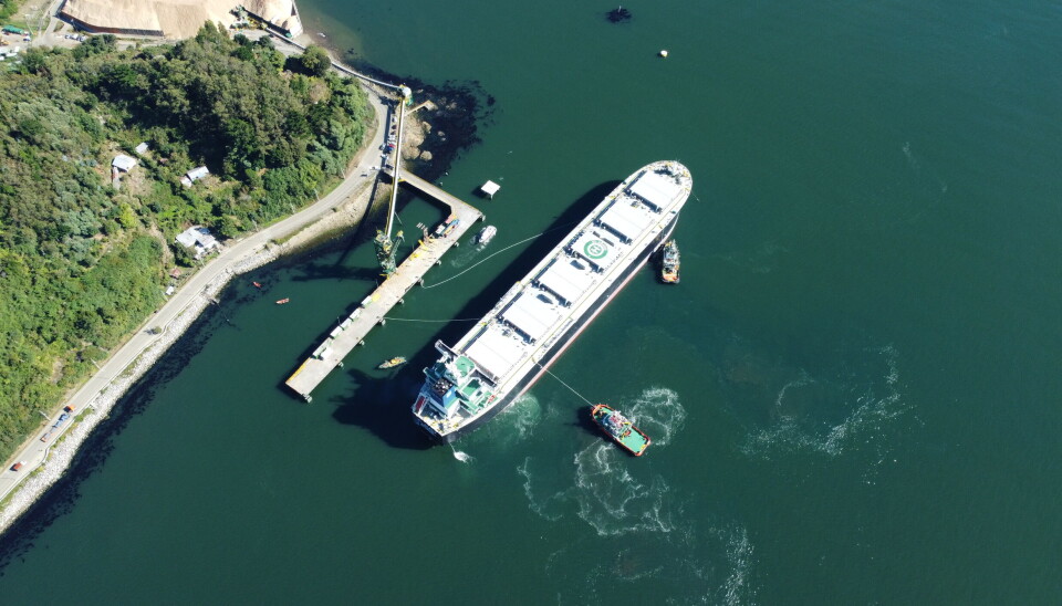 El tamaño del barco pone a prueba las capacidades del puerto, pero allí se prepararon con anticipación para el desafío.