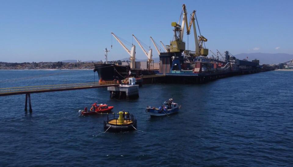 Las instalaciones de Puerto Ventanas fueron afectadas por un incendio el 22 de diciembre del año pasado.