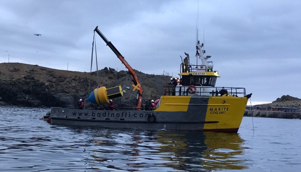 La imagen muestra el proceso de instalación de una de las boyas con equipos de escucha submarina y transmisión de datos en tiempo real, tecnología que se podría replicar en puertos de Chile y el exterior.