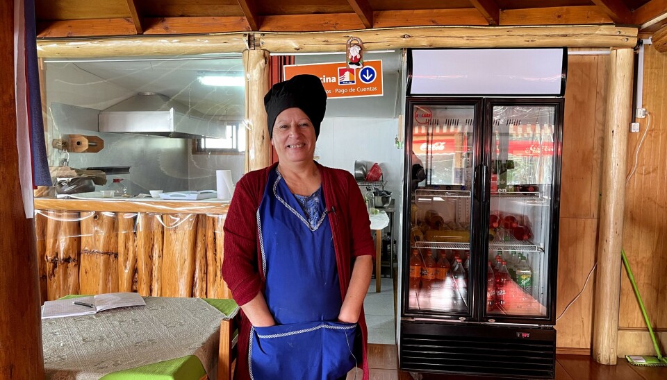 Los proyectos beneficiados estuvieron asociados a turismo, alimentación, comercio y pesca y un 73% de los fondos fueron entregados a mujeres.