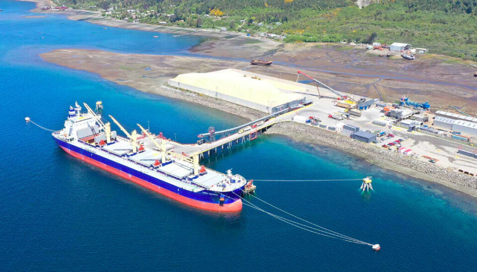 Puerto Chincui, de Terminales Marítimos de la Patagonia.