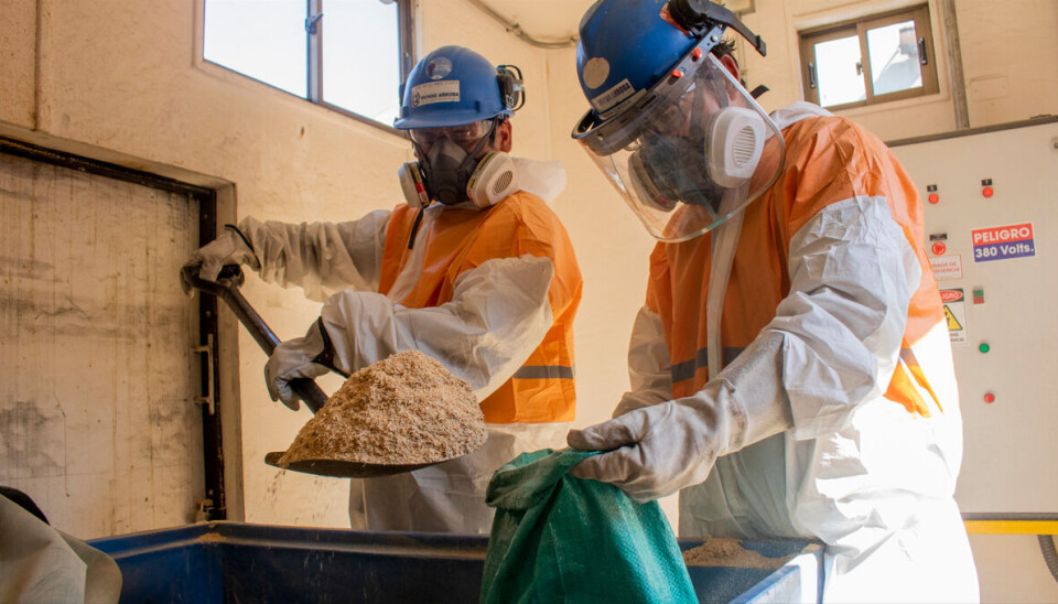 La madera triturada será destinada a distintos fines en colaboración con la comunidad.