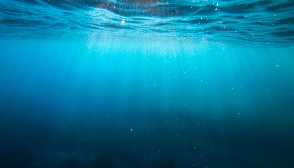 La contaminación del mar con basura plástica es motivo de preocupación global por la enorme cantidad de desechos en el agua.