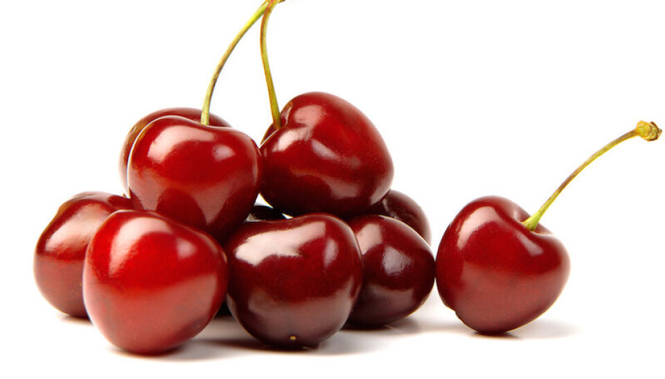El cerezo es uno de los frutales con mayor crecimiento en hectáreas plantadas en el país. Hoy, las hectáreas casi se han duplicado, respecto a 2019, alcanzando las 61.559,15 ha según el Catastro Frutícola de 2022.