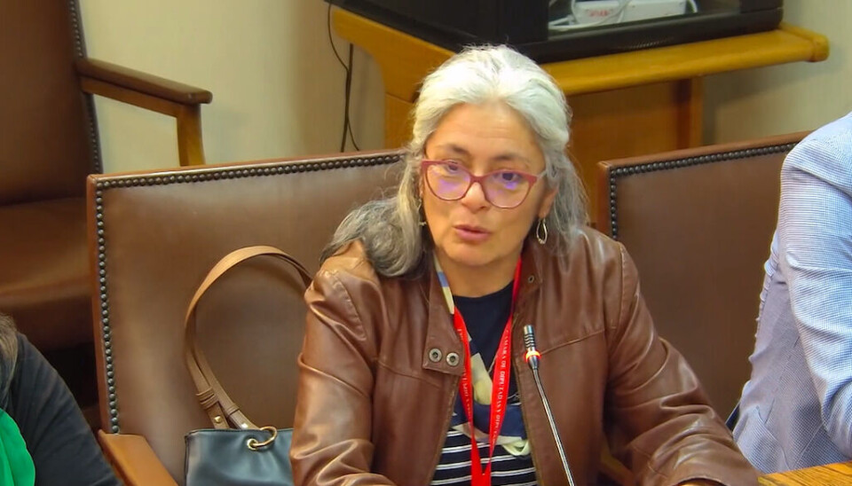 La representante del Sindicato Interempresas de Mujeres Mercantes de Chile, María Gaete, fue una de las expositoras esta semana ante los diputados de la Comisión de Obras Públicas y Transportes.