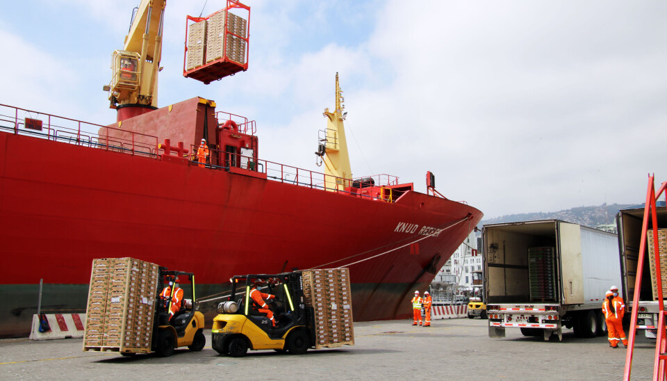 Maniobras rápidas y seguras para la fruta realizaron en el puerto de Coronel para el embarque de los pallets a las cámaras frigoríficas.