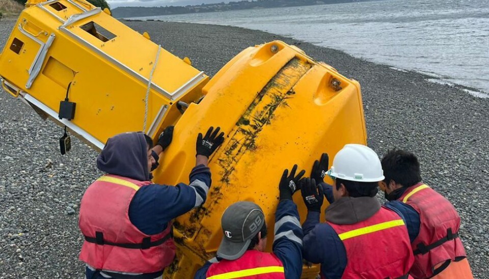 La boya fue instalada en el Golfo de Corcovado porque la zona tiene una gran biodiversidad y también es una importante ruta comercial por lo que el riesgo de colisión es elevado.