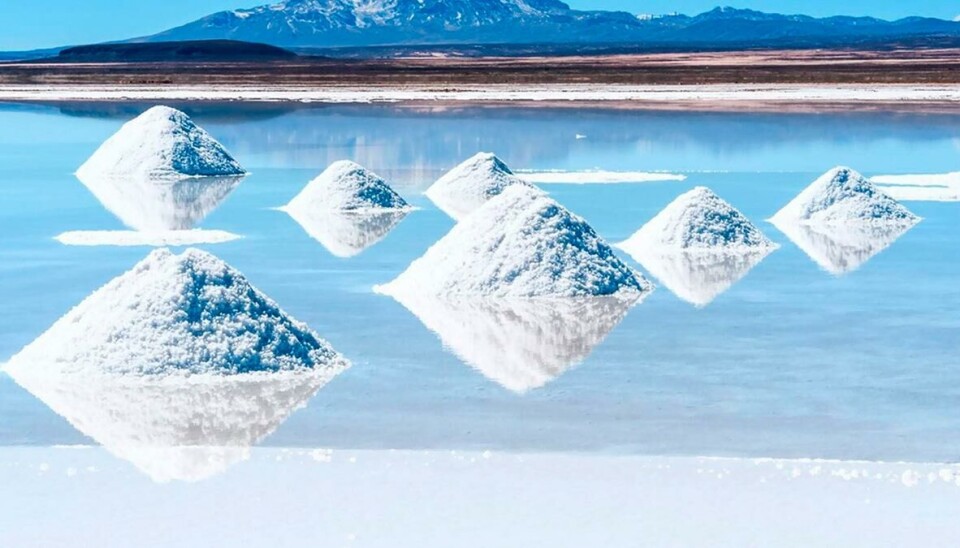 El desarrollo esperado de la minería del litio demandara más servicios portuarios en el norte de Chile que se podrían resolver mediante nuevas concesiones a cargo del MOP, según un especialista de Chile 21.