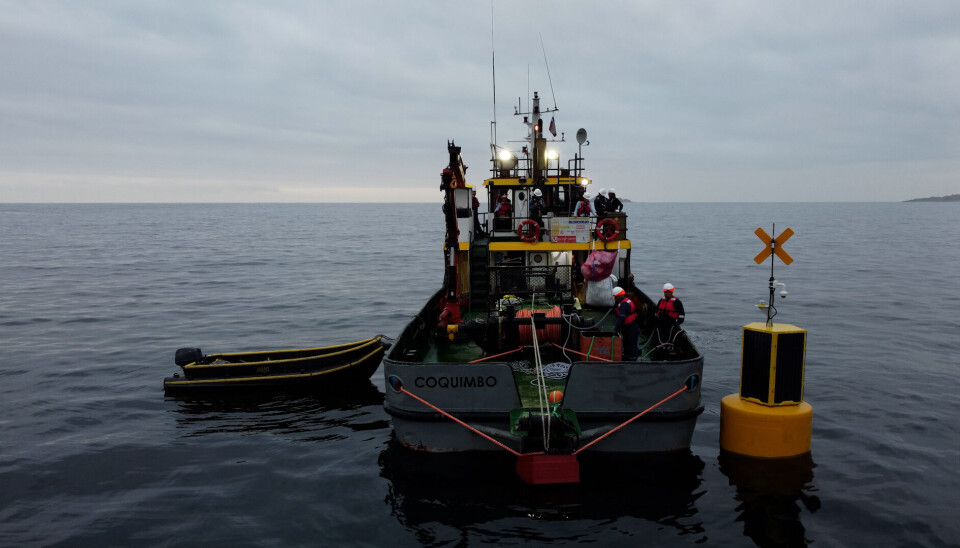 La iniciativa de las empresas minera y de acústica submarina está dando forma a la primera y más importante red de boyas hidroacústicas a nivel mundial operativas en el agua, según indican los responsables del proyecto.