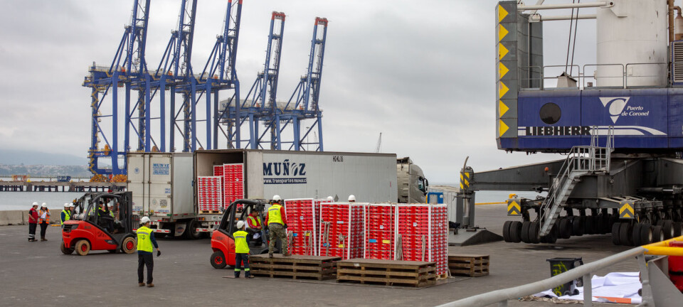 Exportadores de frutas proyectan costos logísticos para la próxima temporada