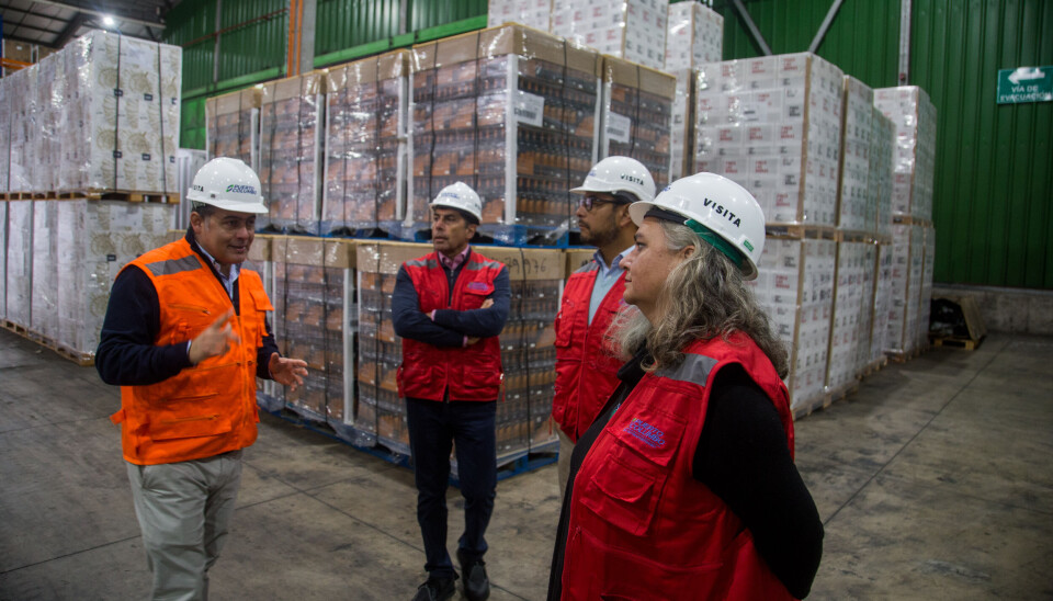 La Delegada Presidencial Provincial visitó el recinto con los ejecutivos de la empresa que le informaron las medidas para evitar delitos en el lugar.