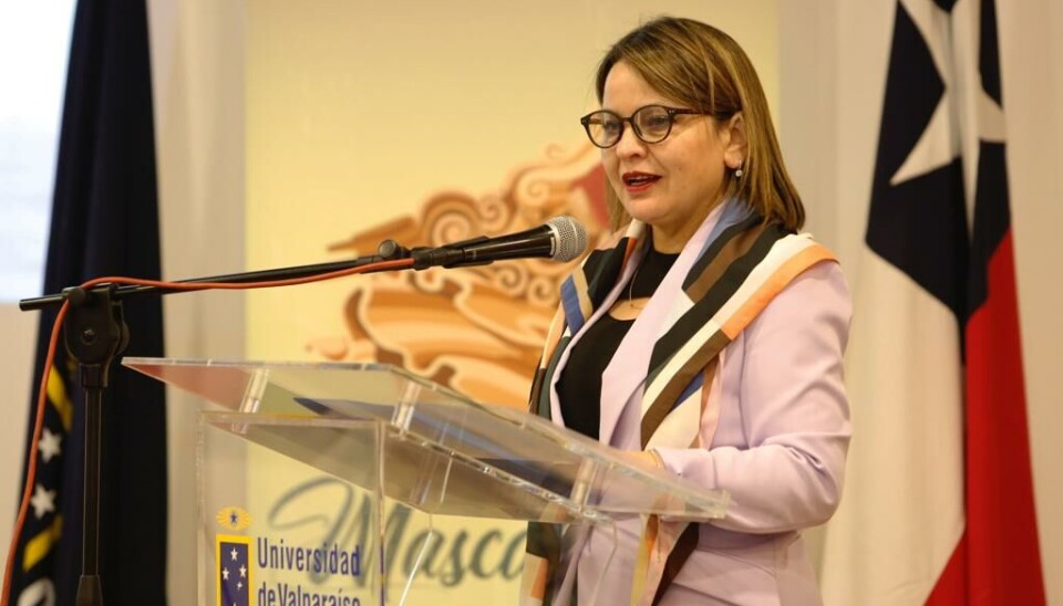 Raquel Meza, directora de Fundación Mascarona, entidad organizadora del seminario.