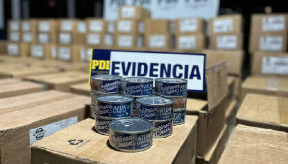 Siete mil fueron las latas de atún encontradas.
