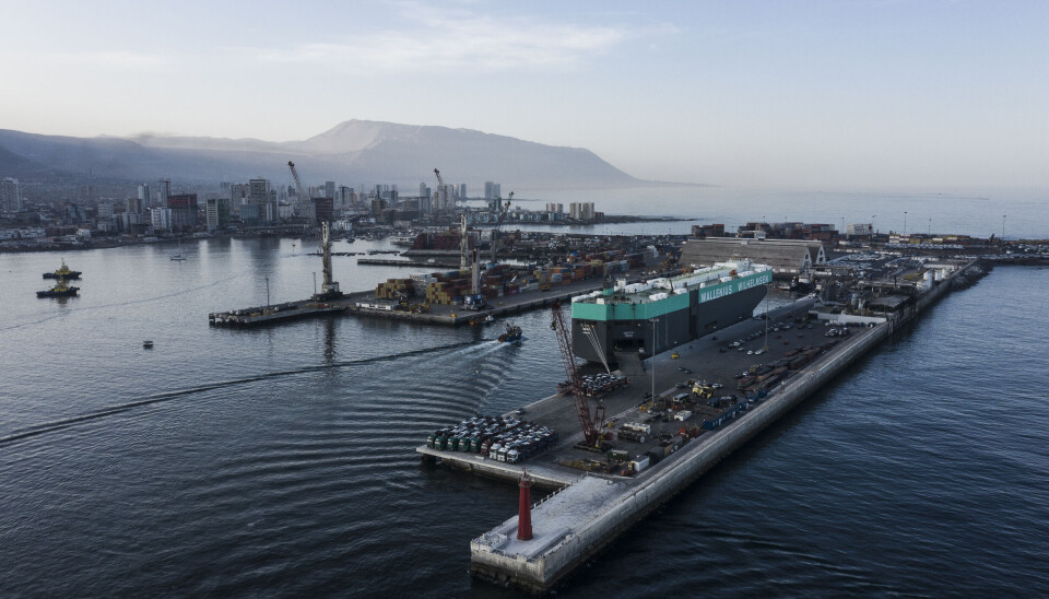 Las exportaciones determinaron en mayor medida el resultado del movimiento en los puertos de la región durante el mes analizado.