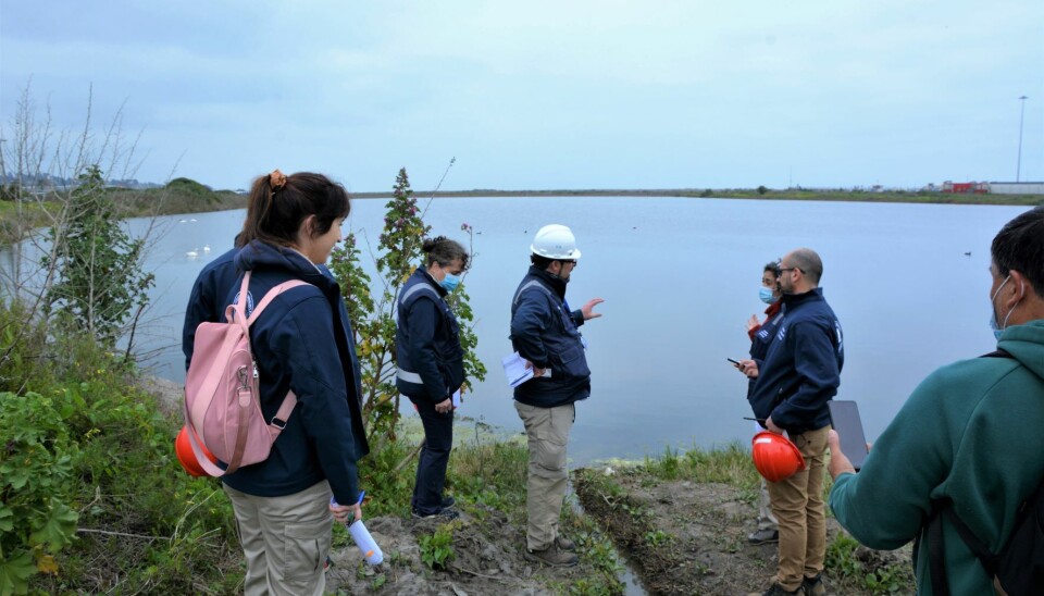 Los jueces del Tribunal Ambiental hicieron una visita en terreno en el marco del proceso para llegar a una conciliación para la protección del humedal y el desarrollo de las actividades portuarias.