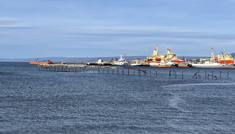 La región de Magallanes estuvo entre las que más elevaron el valor de sus exportaciones en el mes de mayo, en comparación al mismo mes del año pasado según el INE.