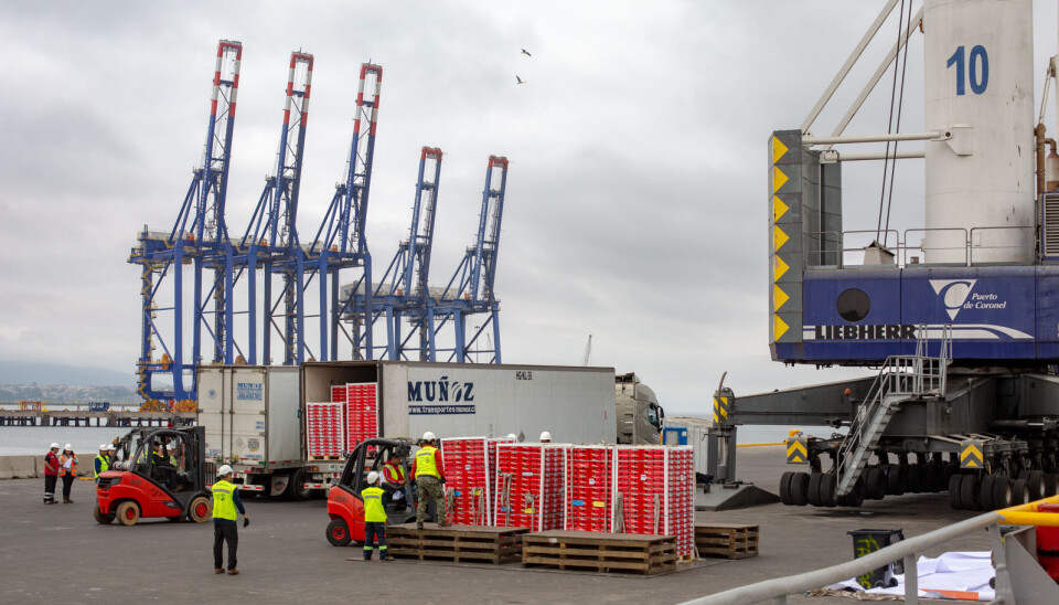 El Puerto de Coronel fue uno de los mencionados entre los que deben regularizar las instalaciones para inspecciones según las normativas del SAG.