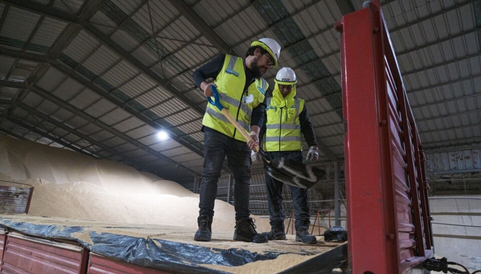 Con la guía de un especialista los trabajadores de Terminal Puerto Arica están cambiado posturas y técnicas para usar herramientas para reducir la posibilidad de problemas de salud.