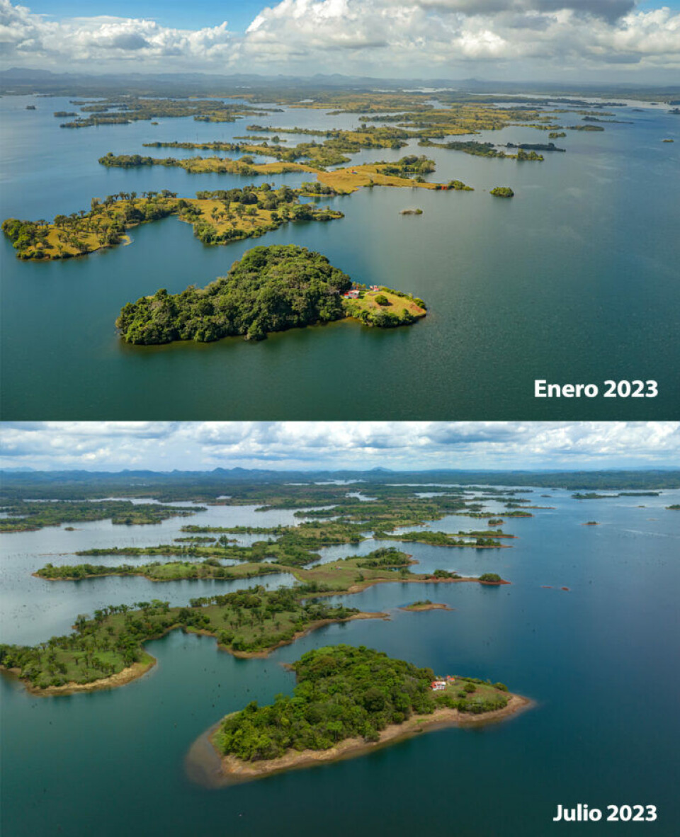 La imagen muestra el descenso del agua en el lago Gatún