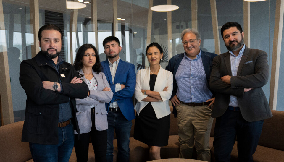 El equipo ejecutor el proyecto